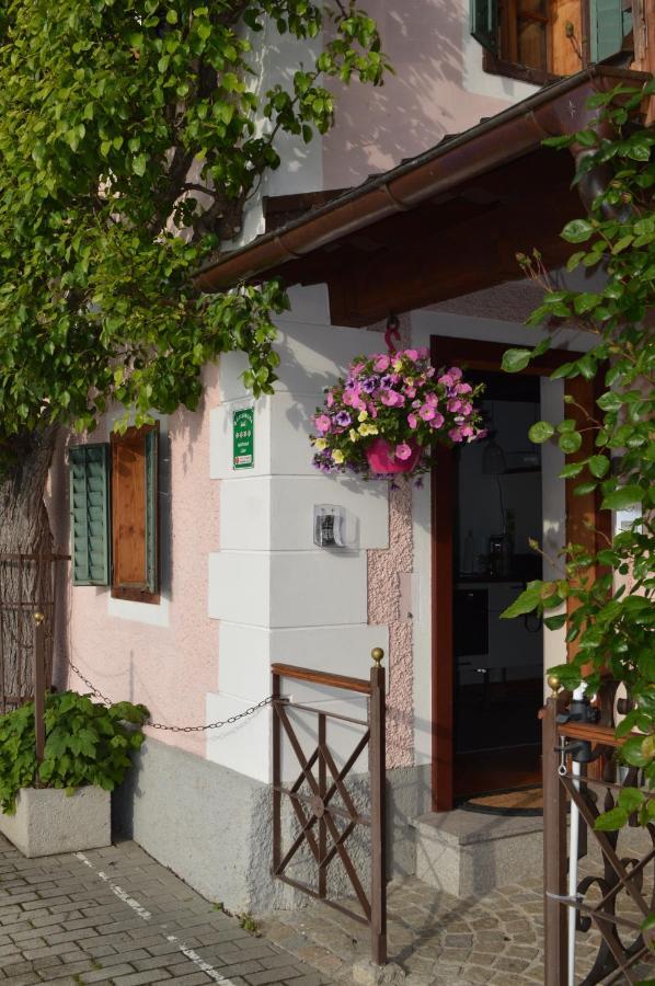 Apartment Luise Hallstatt Extérieur photo